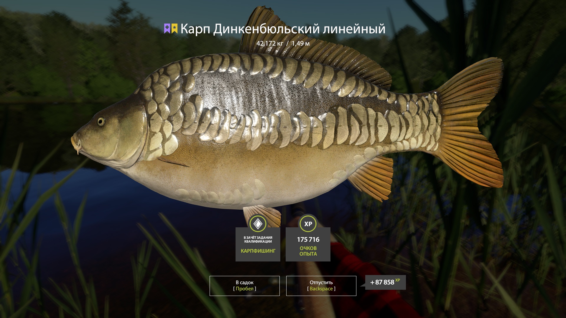 Trophy Copper lake
