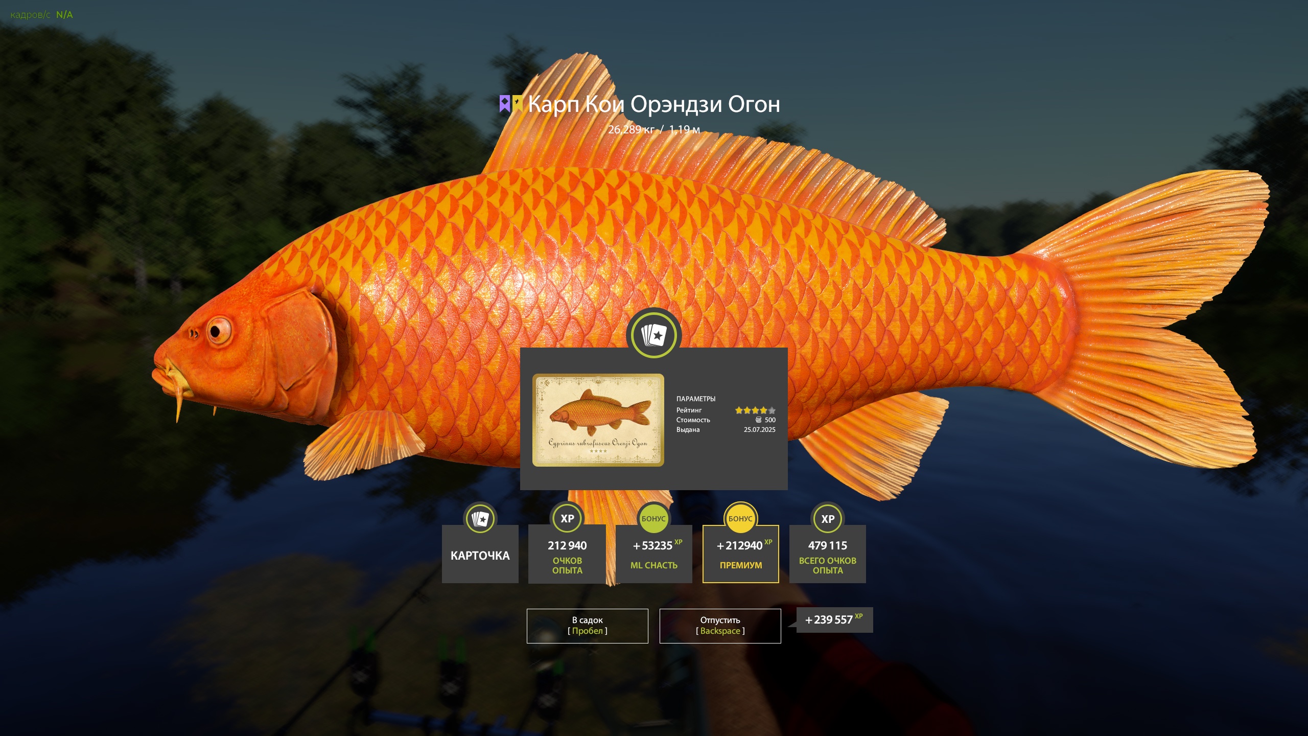 Trophy Copper lake
