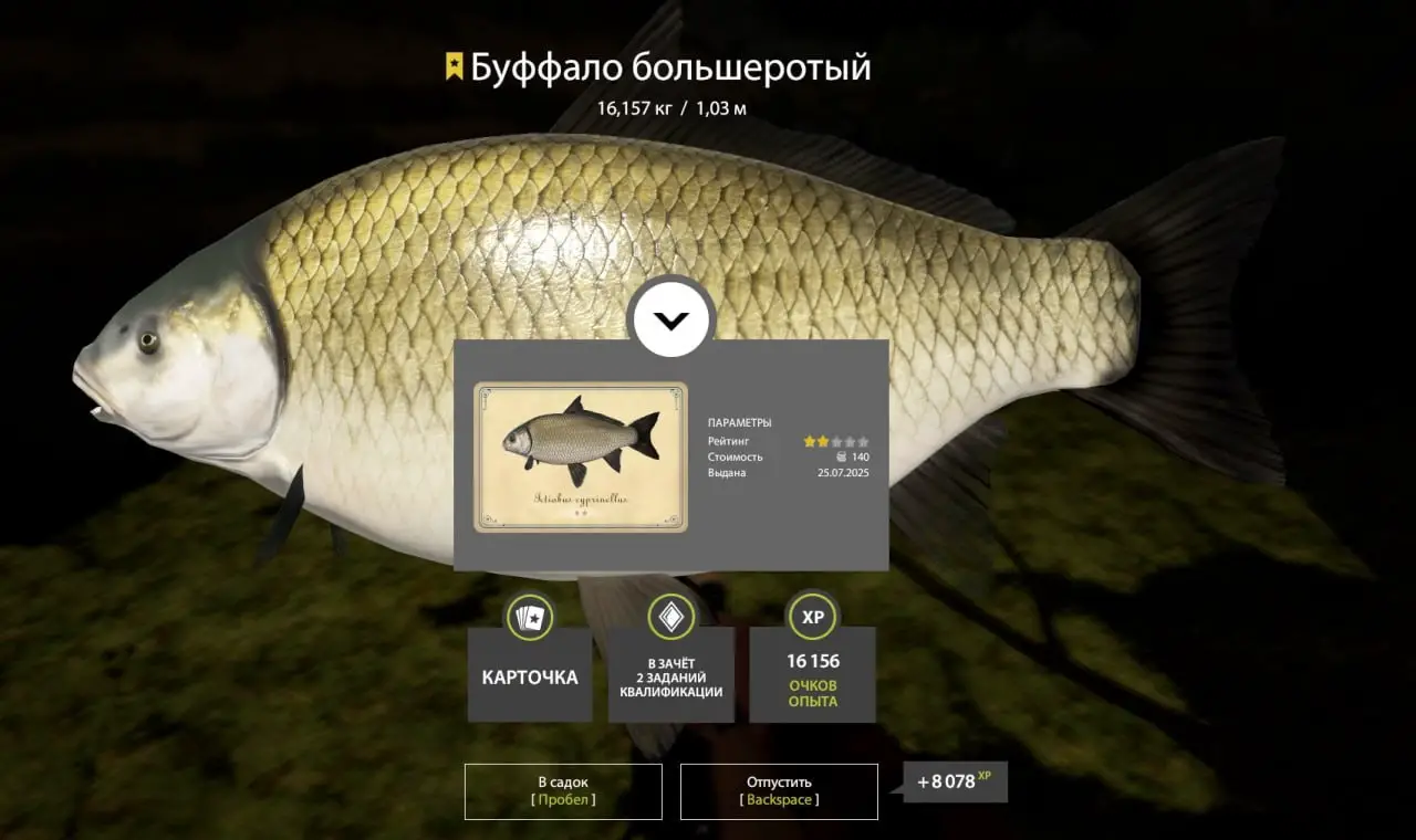 Trophy Akhtuba River