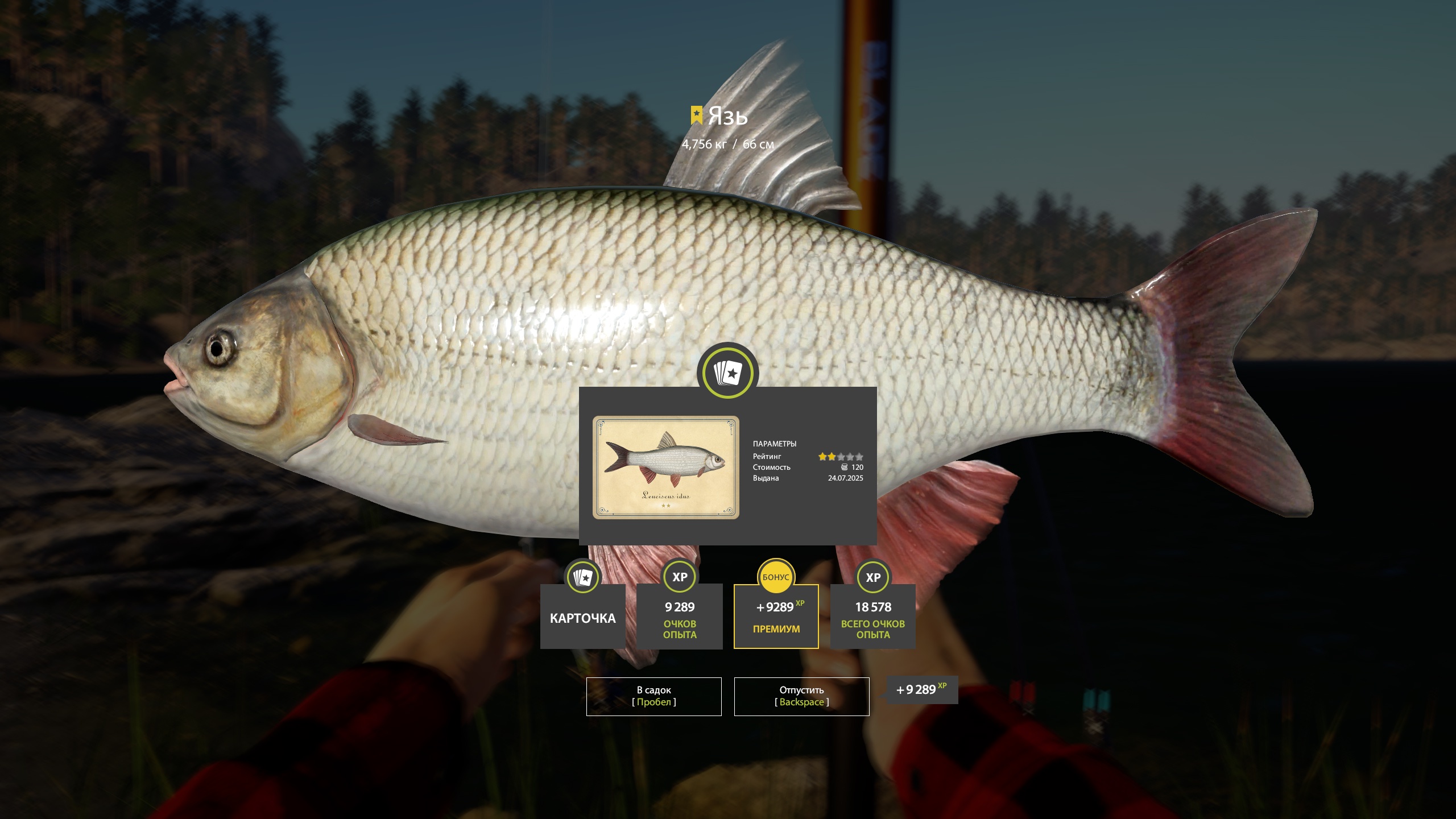 Trophy Kuori Lake