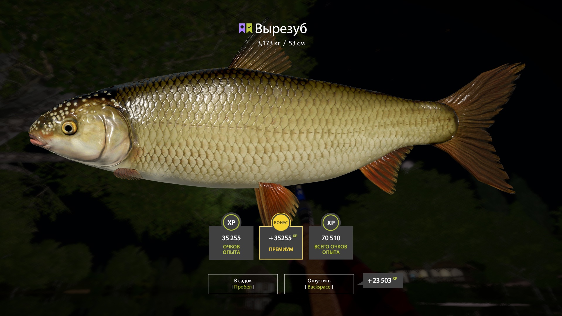 Trophy Seversky Donets River