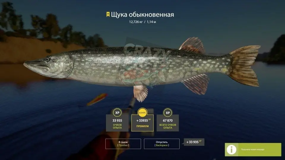 Trophy Volkhov River