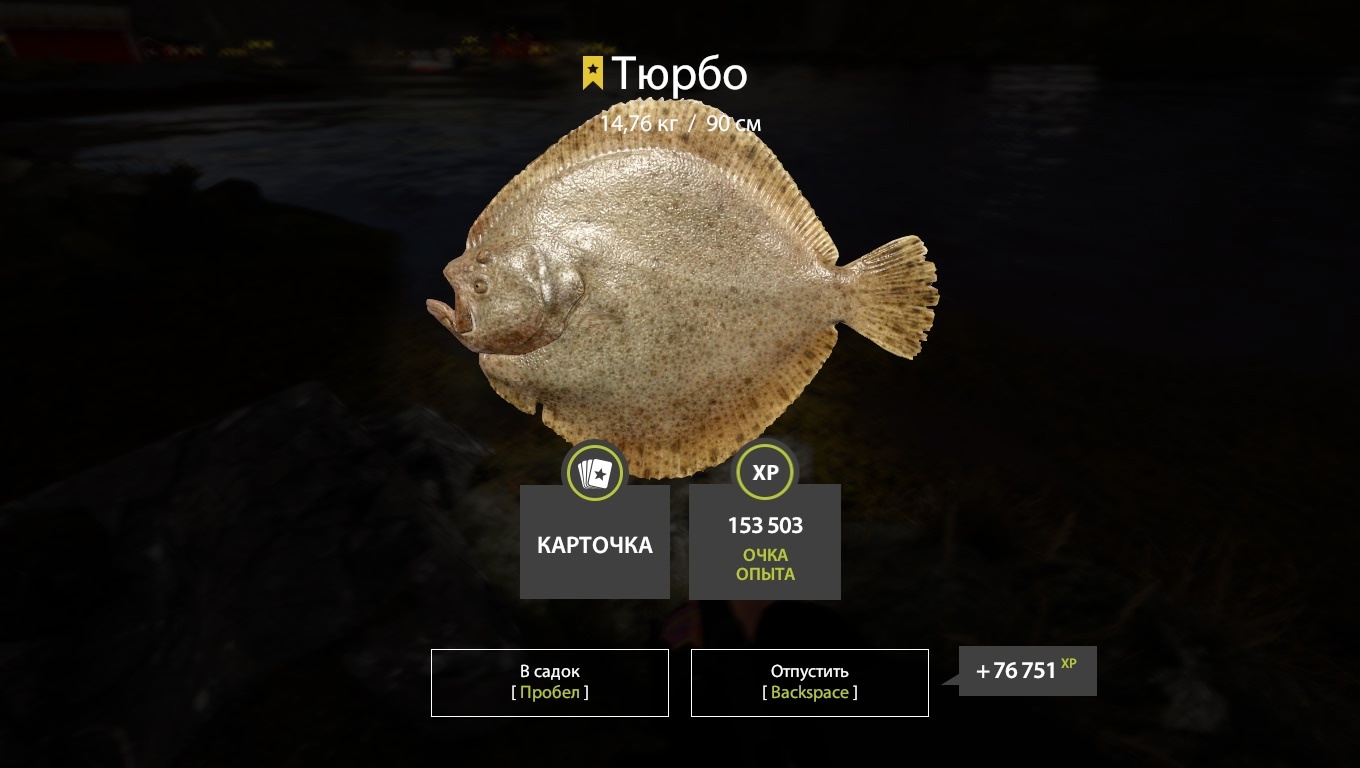 Trophy Norwegian Sea