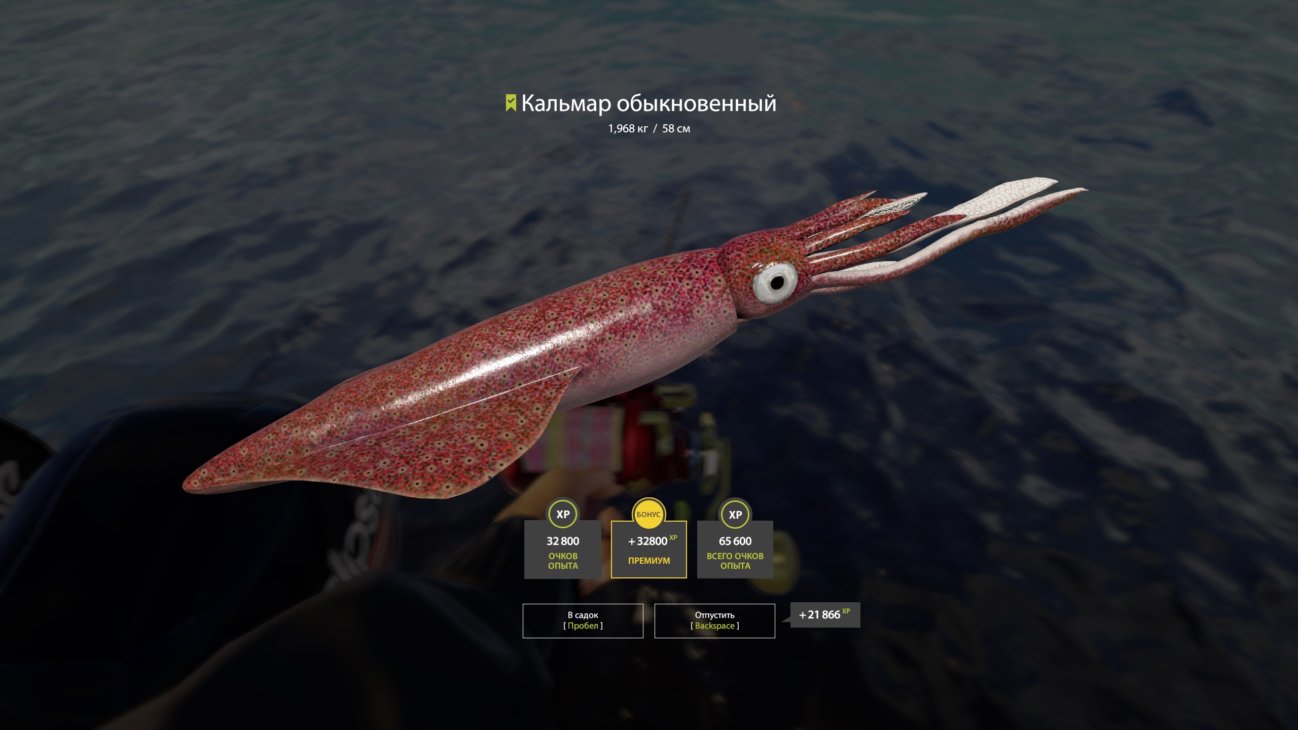Trophy Norwegian Sea