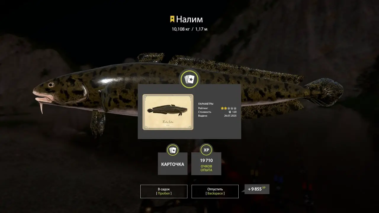 Trophy Belaya River