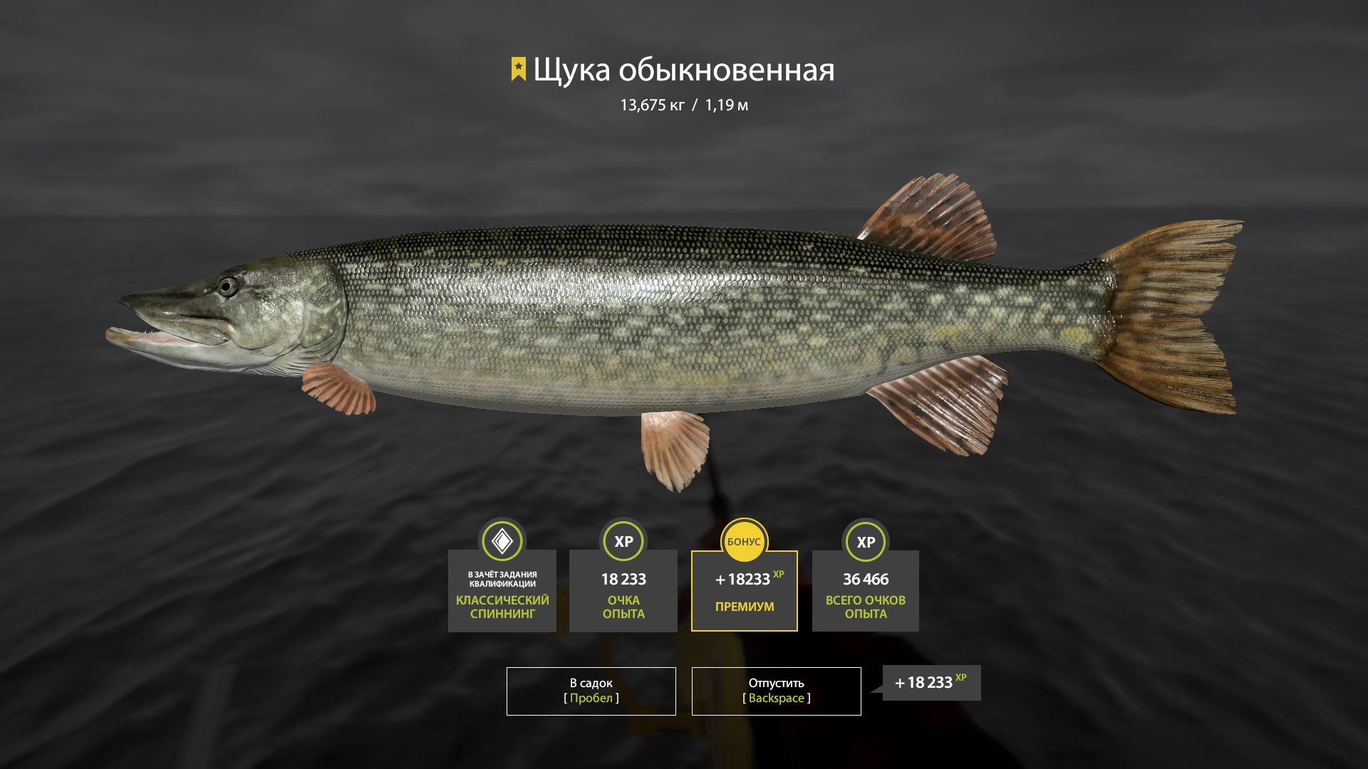 Trophy Ladoga archipelago