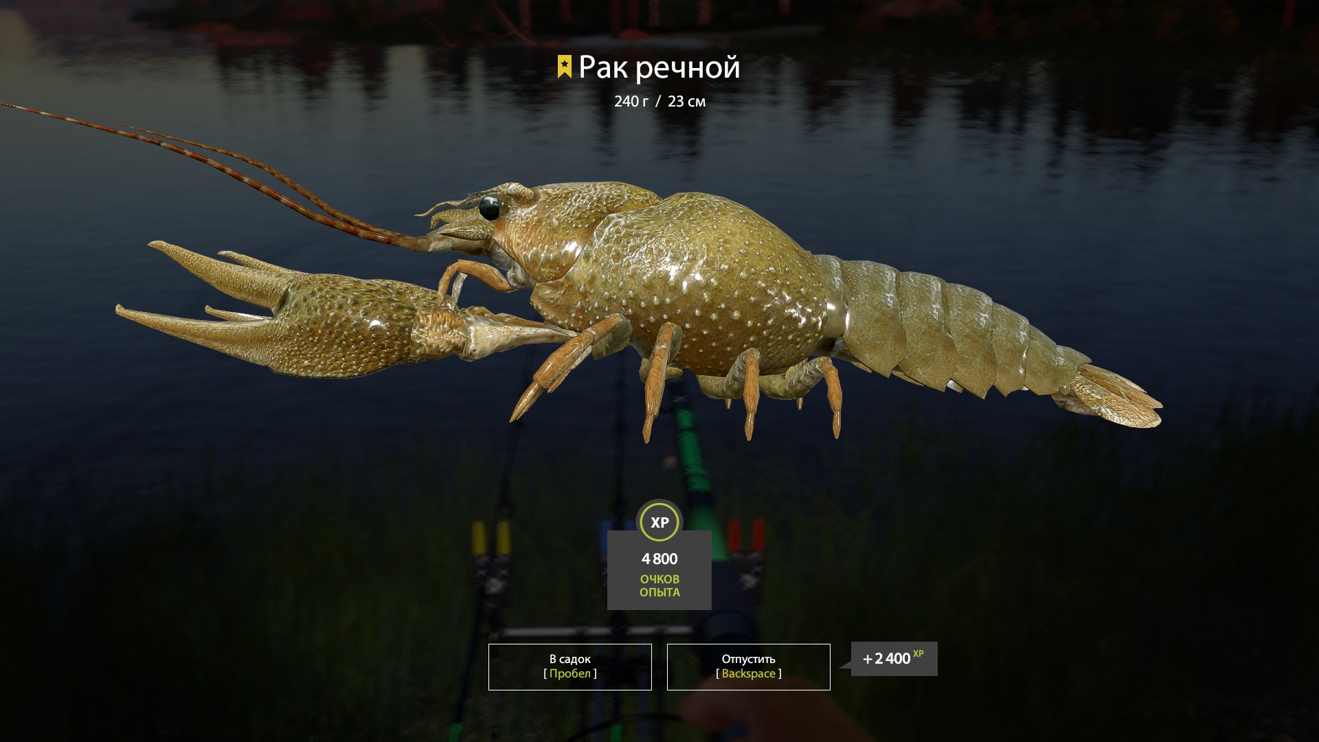 Trophy Belaya River