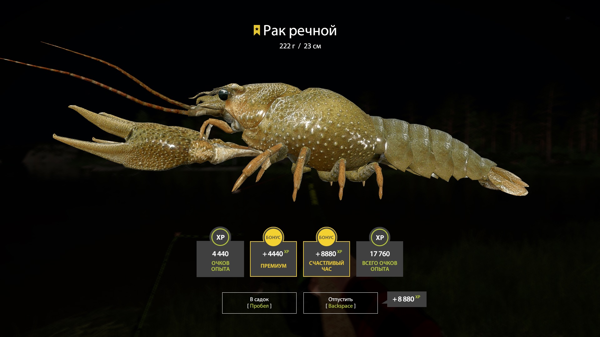 Trophy Belaya River