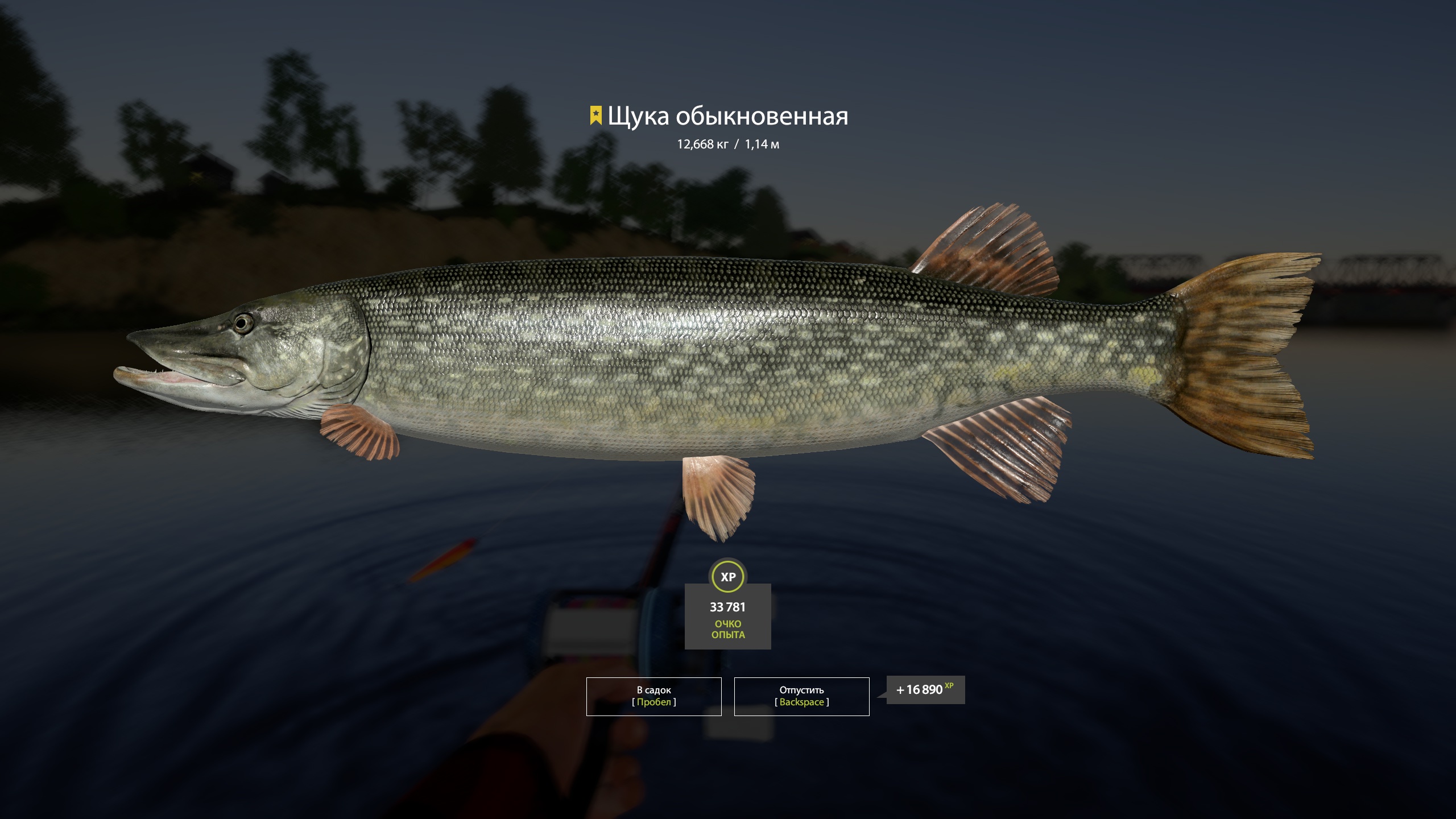 Trophy Volkhov River