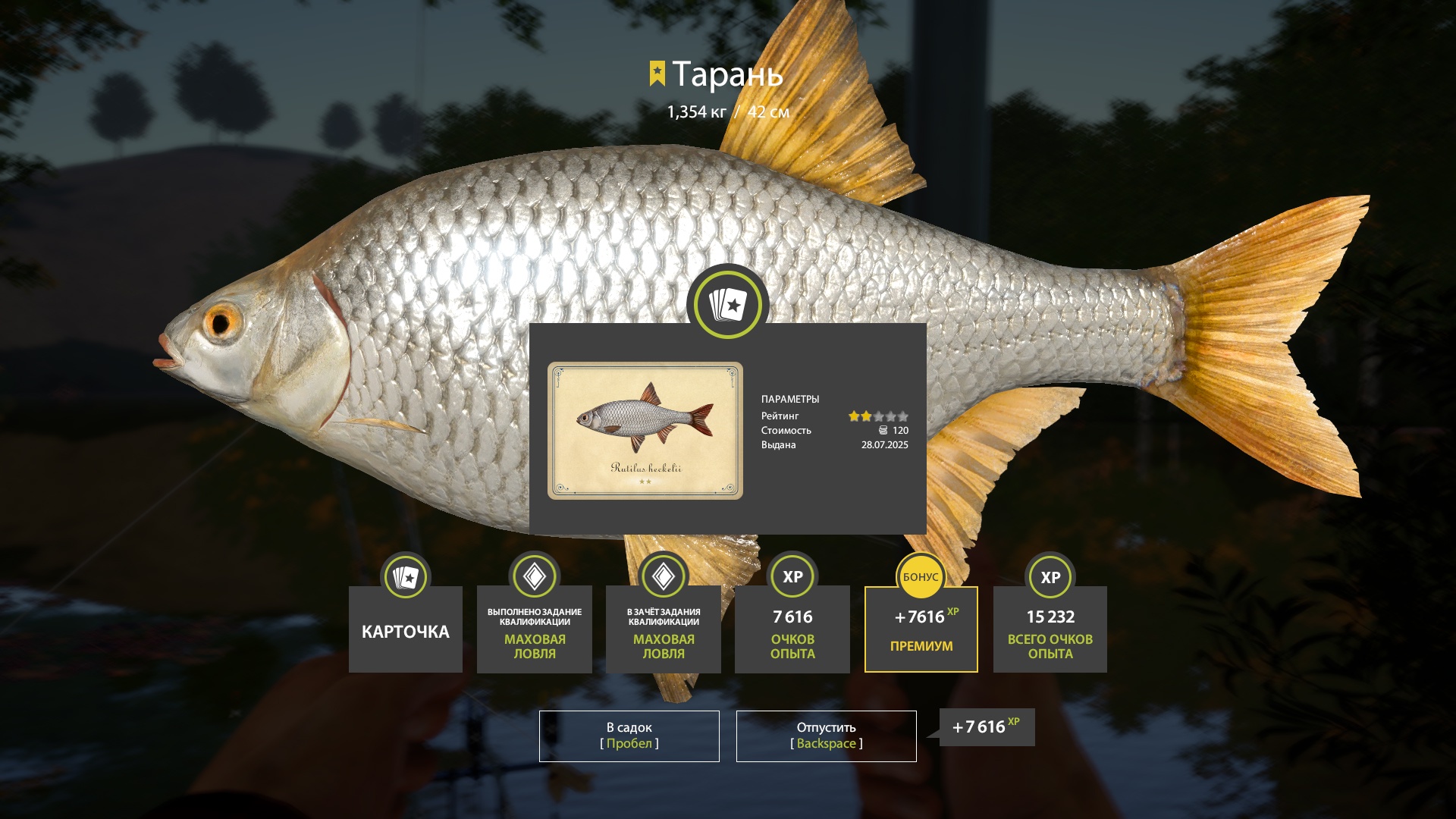 Trophy Seversky Donets River