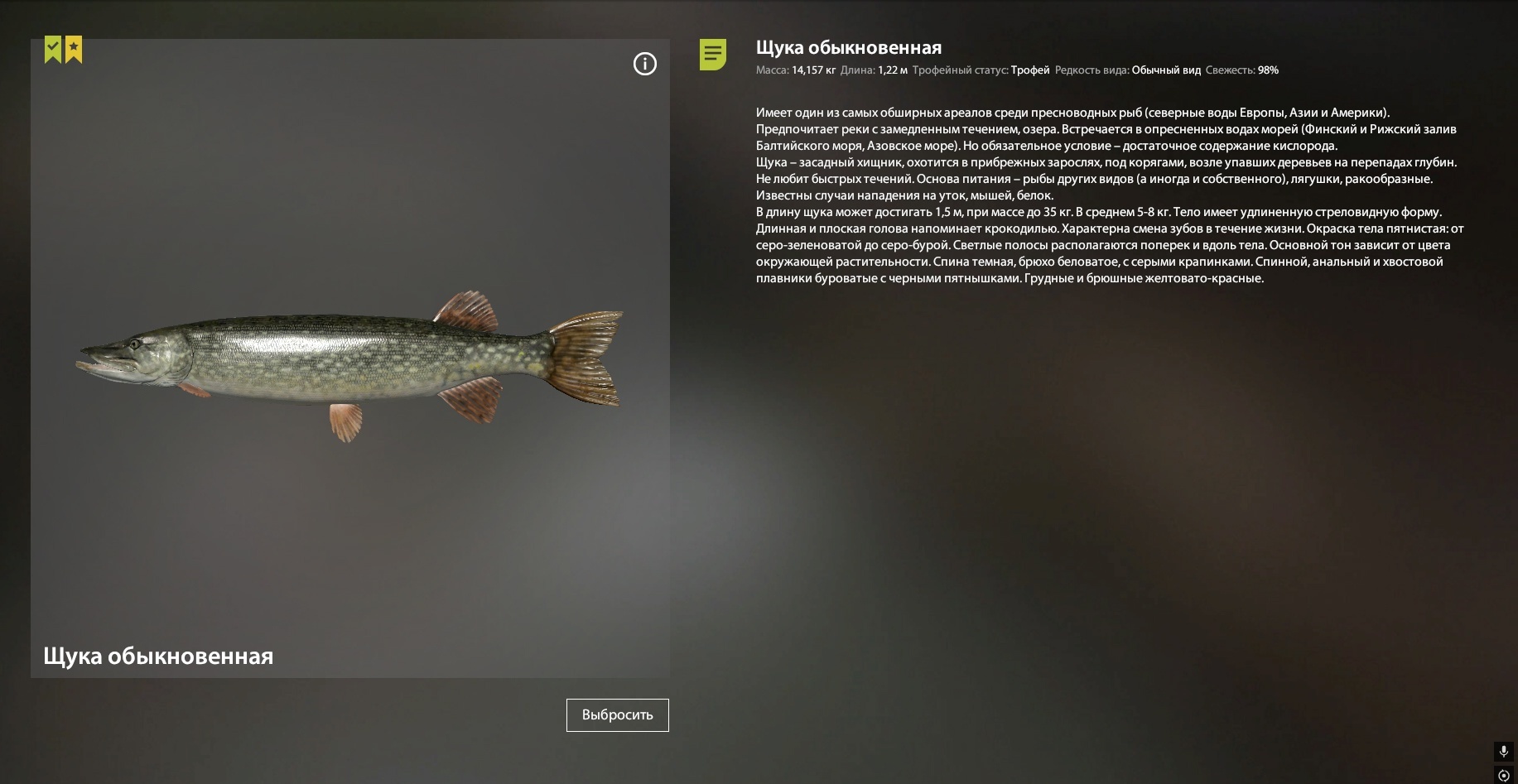 Trophy Ladoga archipelago