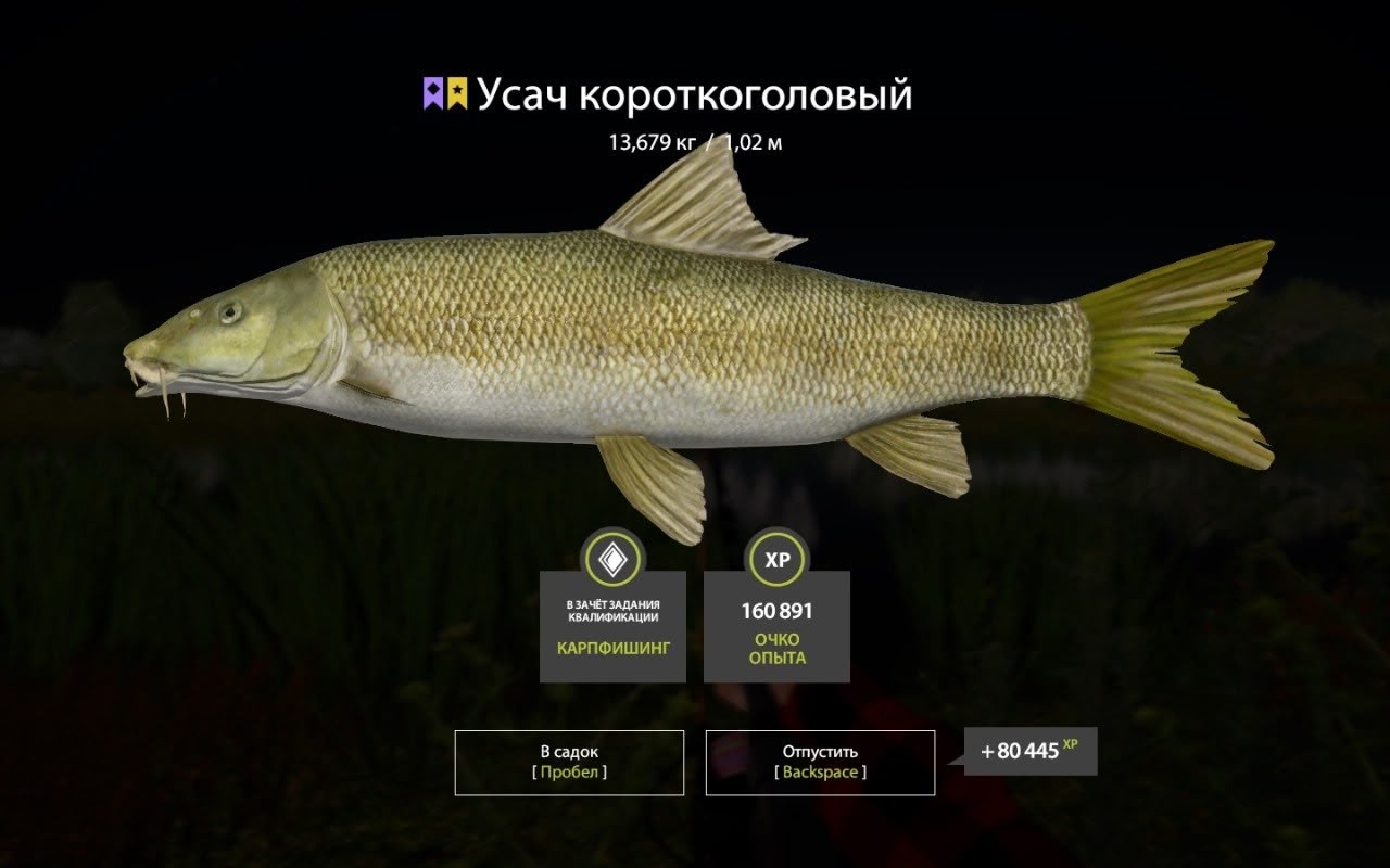 Trophy Akhtuba River