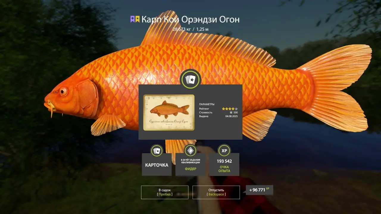 Trophy Copper lake