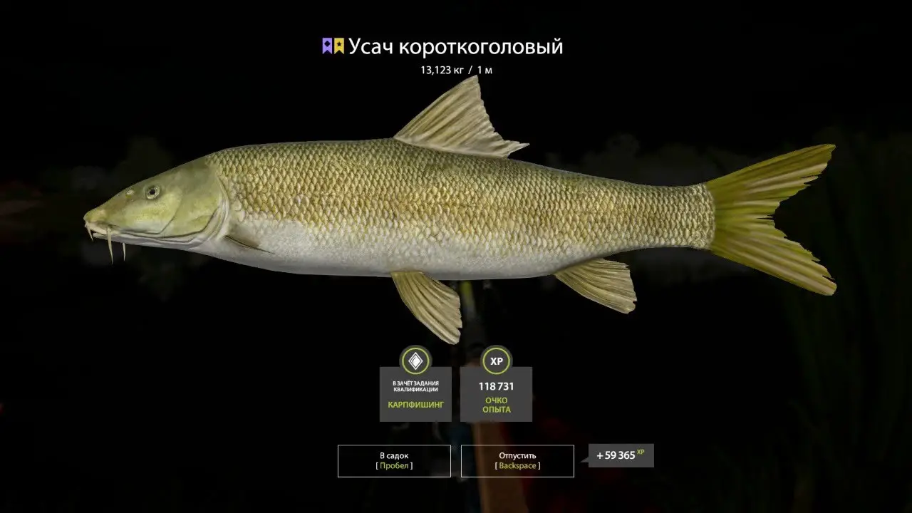 Trophy Akhtuba River
