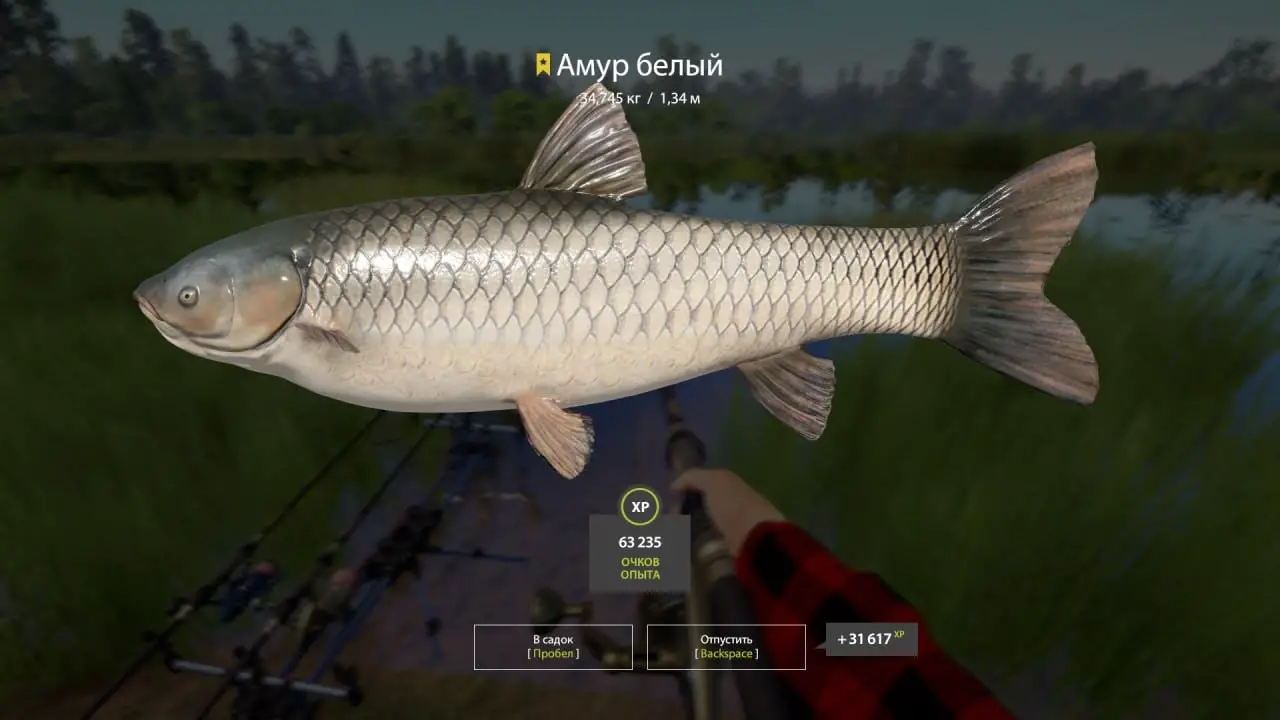 Trophy Bear Lake