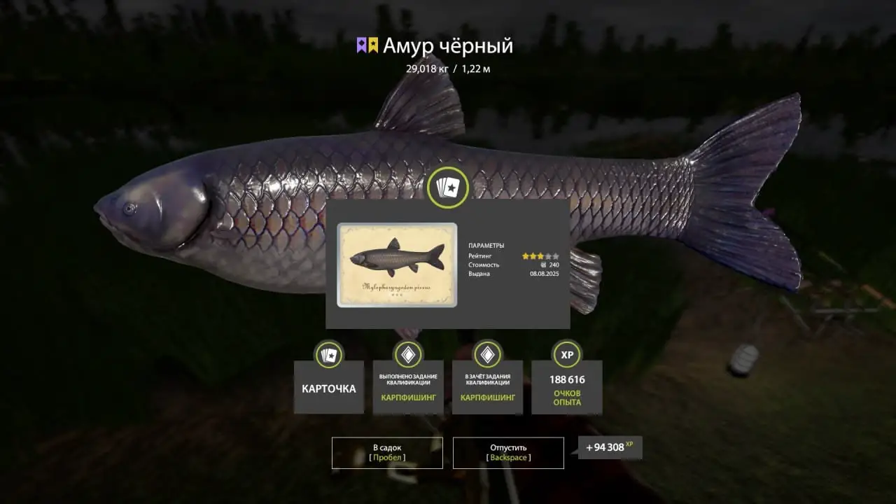Trophy Bear Lake