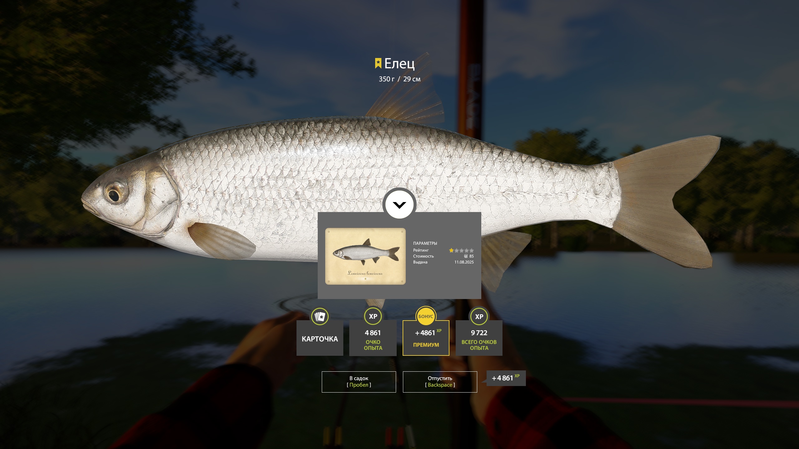 Trophy Seversky Donets River