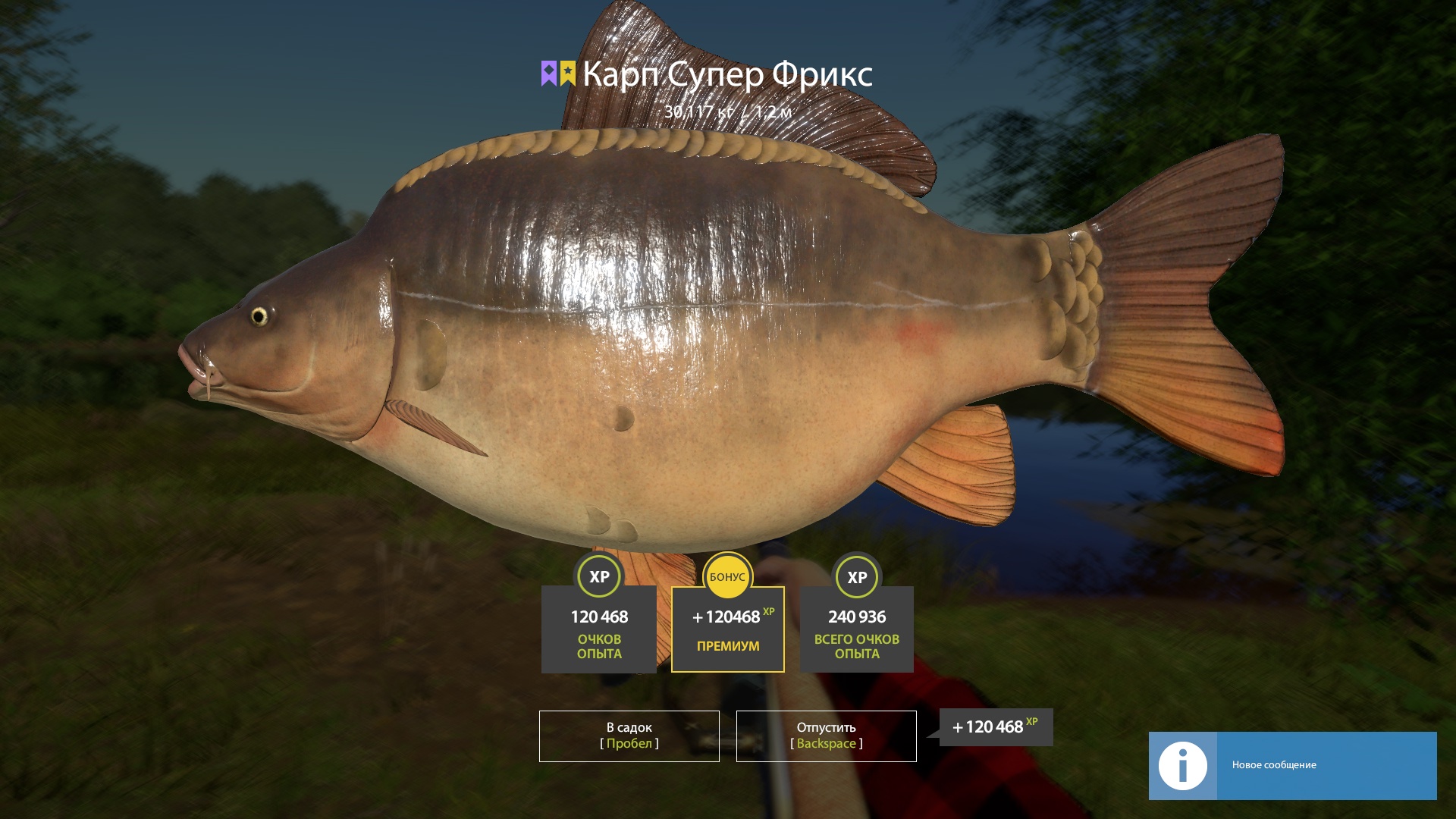 Trophy Copper lake