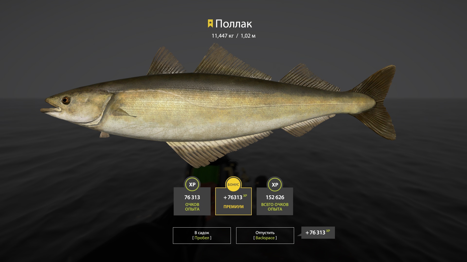 Trophy Norwegian Sea