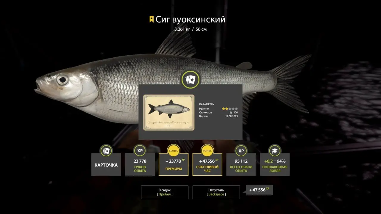 Trophy Ladoga archipelago