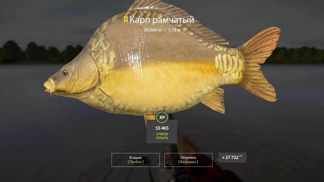 Trophy The Amber Lake