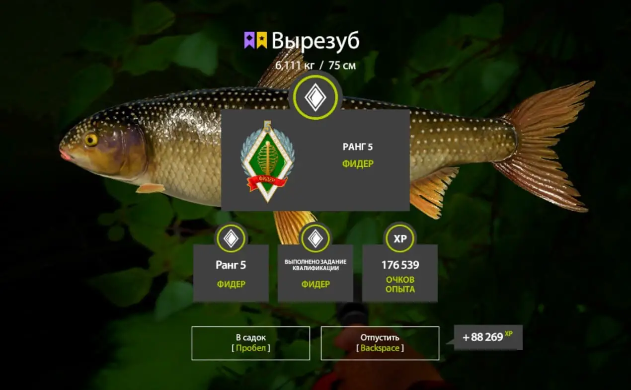 Trophy Seversky Donets River