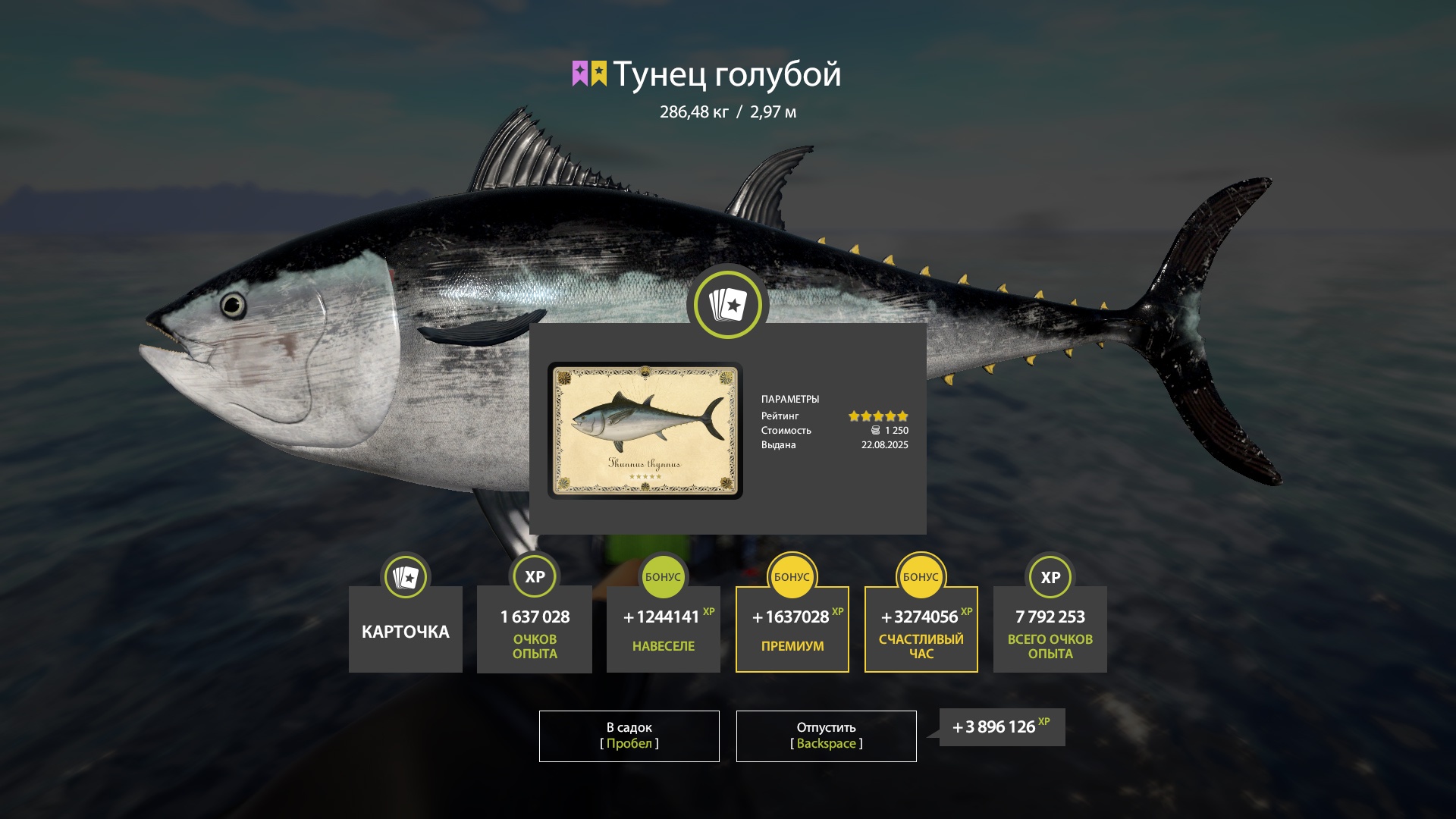 Trophy Norwegian Sea