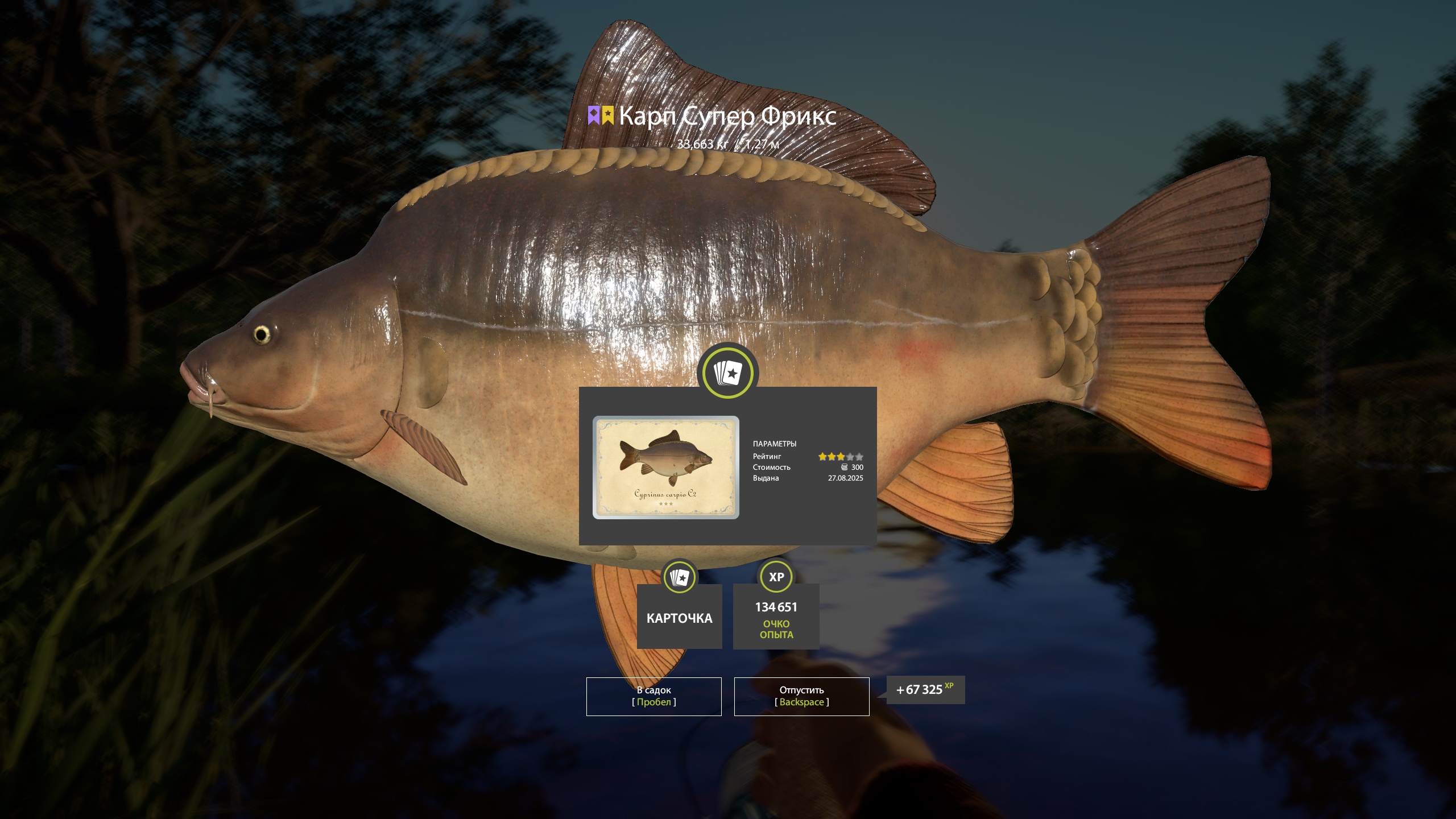 Trophy Copper lake