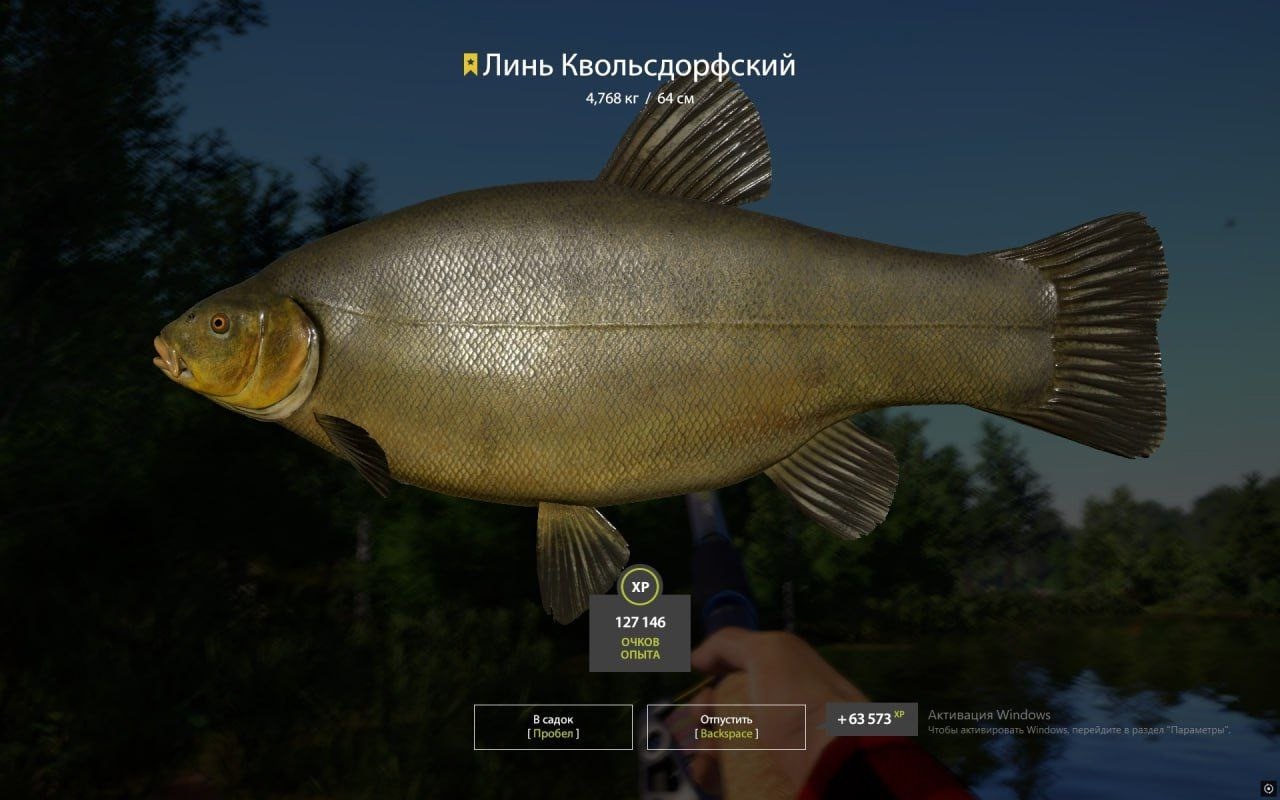 Trophy Copper lake