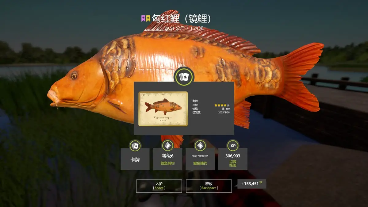 Trophy The Amber Lake