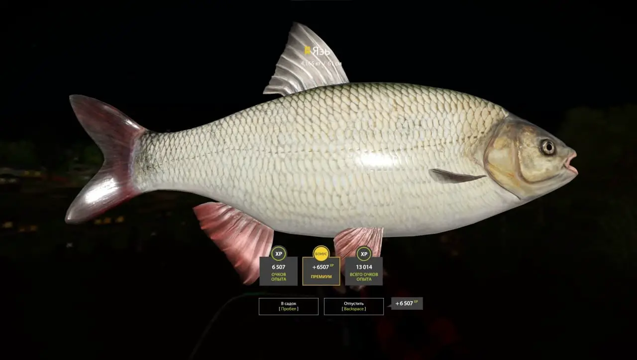 Trophy Mosquito Lake