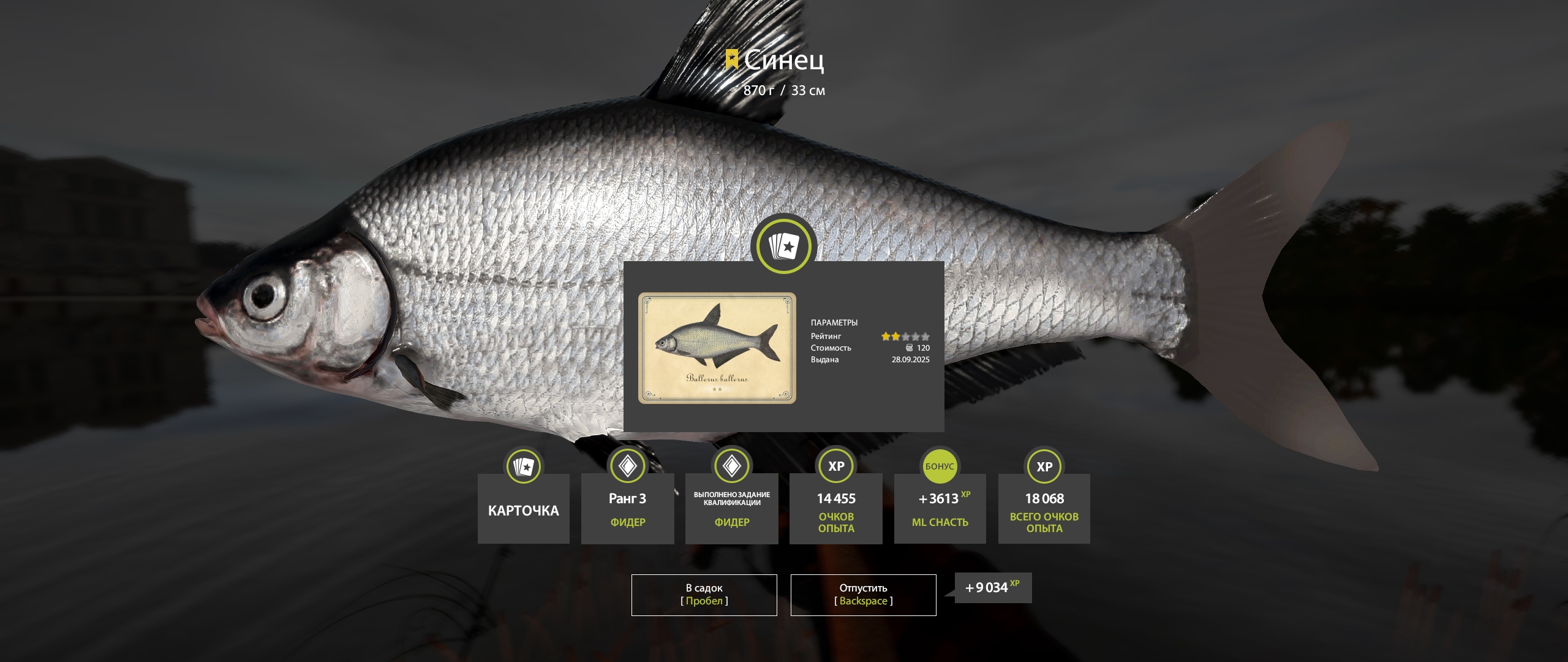 Trophy Volkhov River