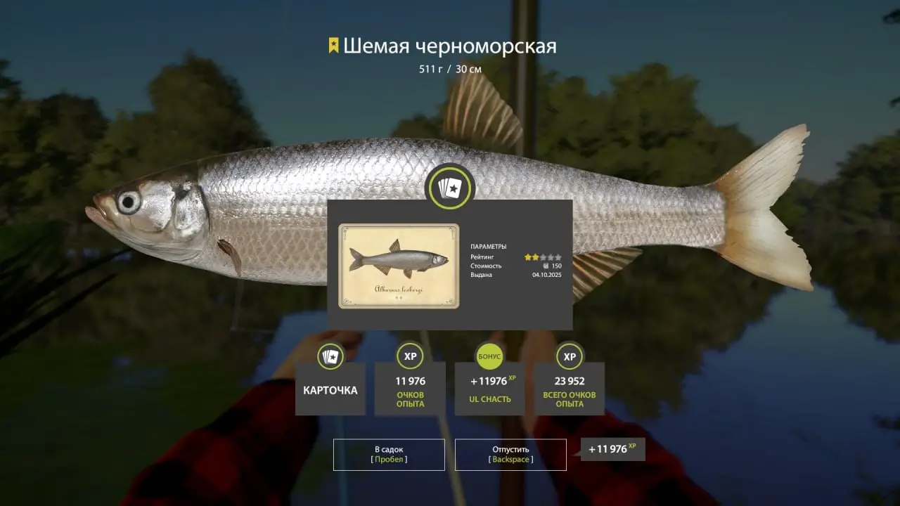 Trophy Seversky Donets River