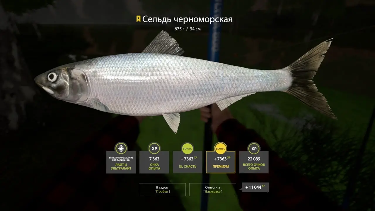 Trophy Seversky Donets River
