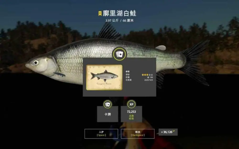 Trophy Kuori Lake