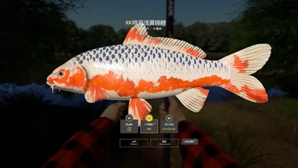 Trophy Copper lake