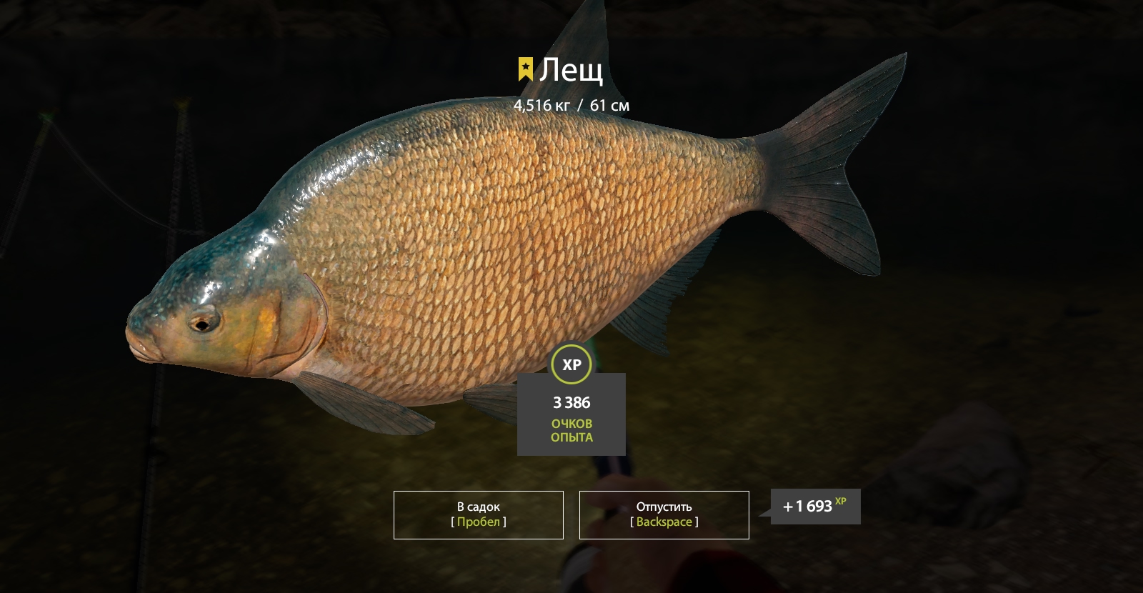 Trophy Kuori Lake