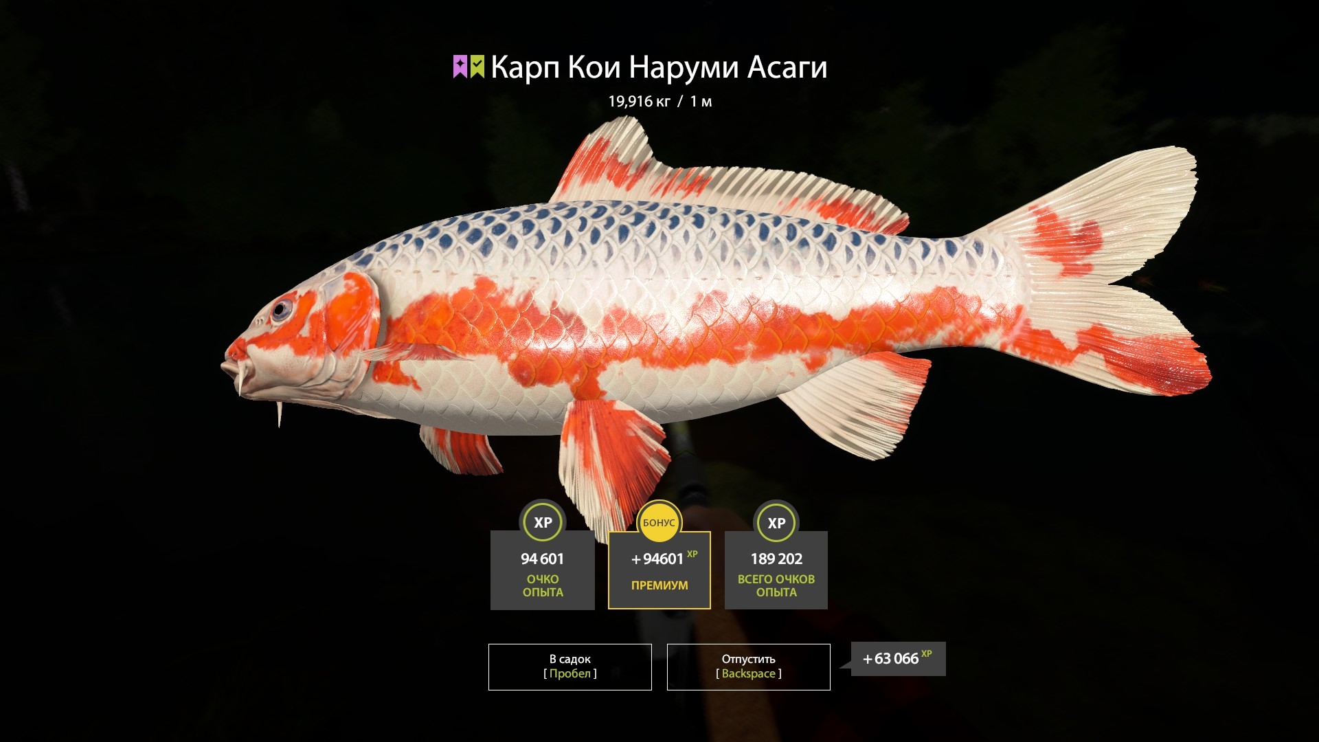 Trophy Copper lake