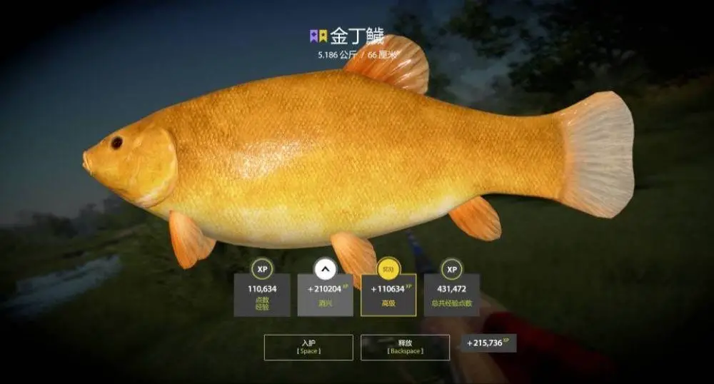 Trophy Bear Lake
