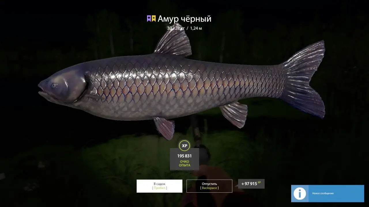 Trophy Old Burg Lake