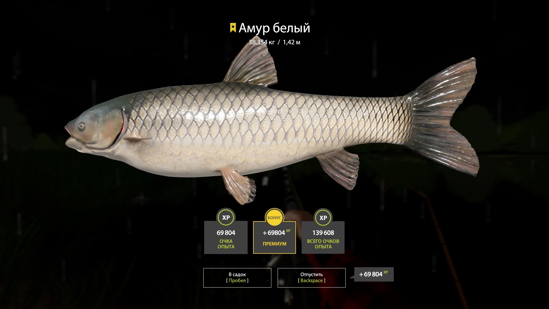 Trophy The Amber Lake