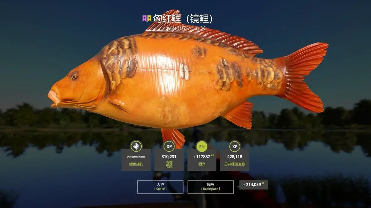 Trophy The Amber Lake