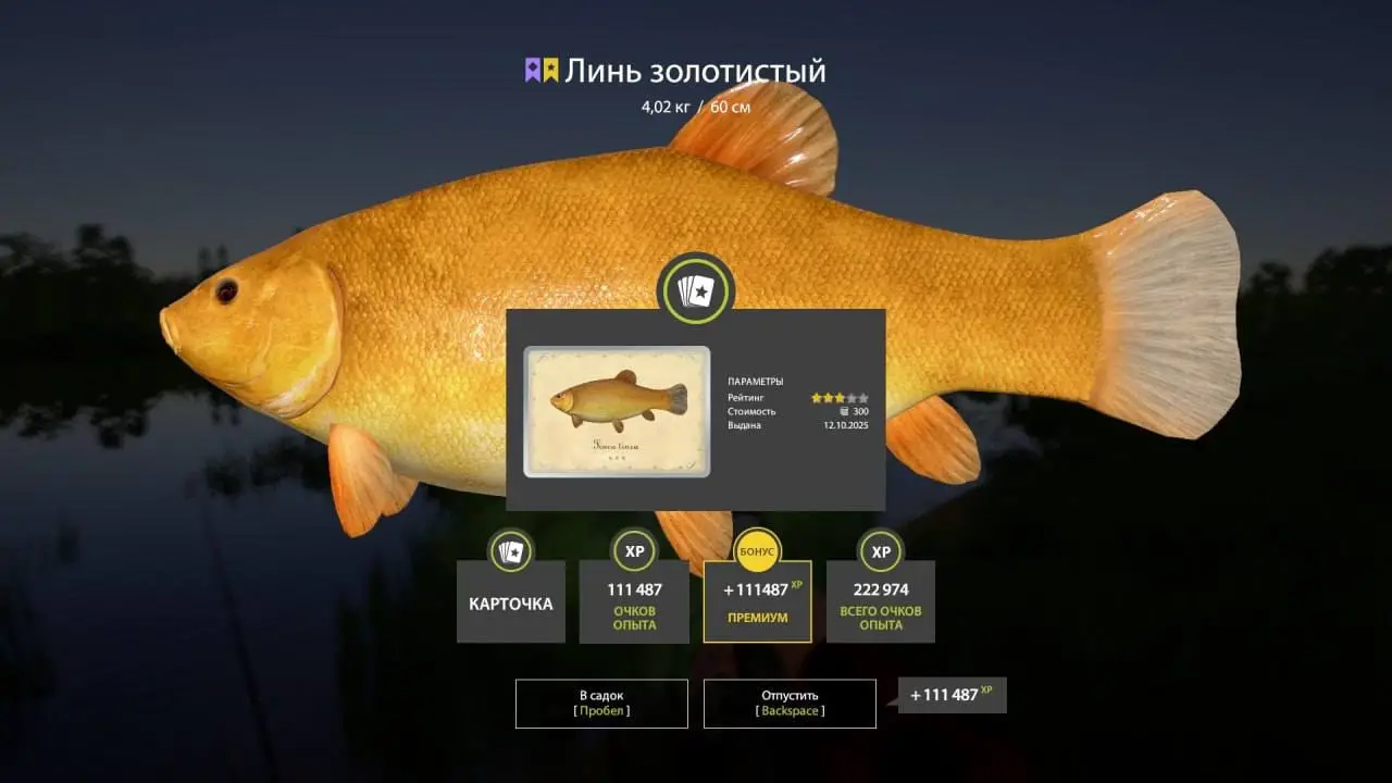 Trophy Bear Lake