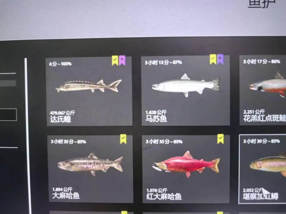 Trophy Yama River