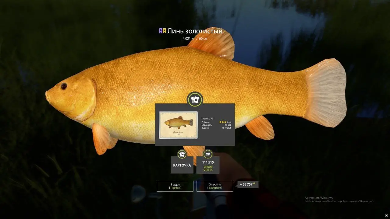 Trophy Bear Lake