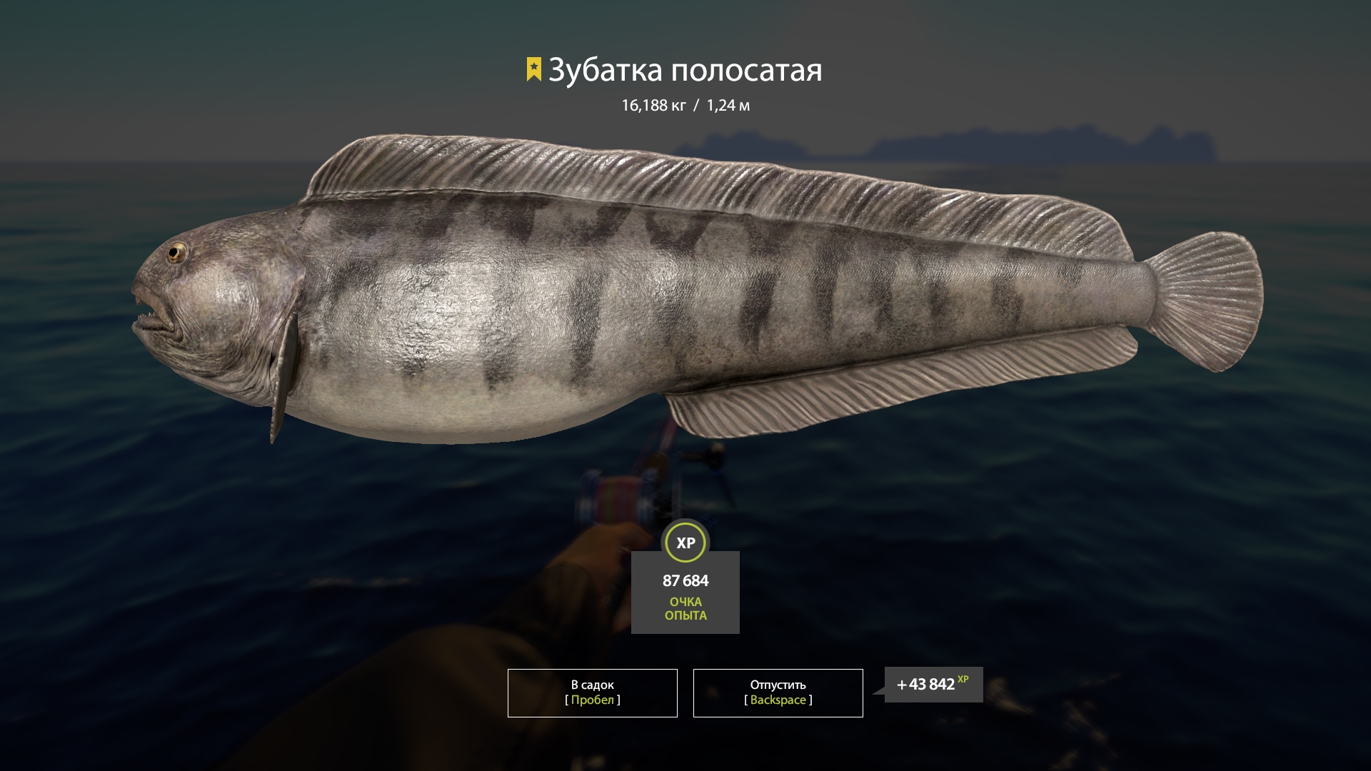 Trophy Norwegian Sea