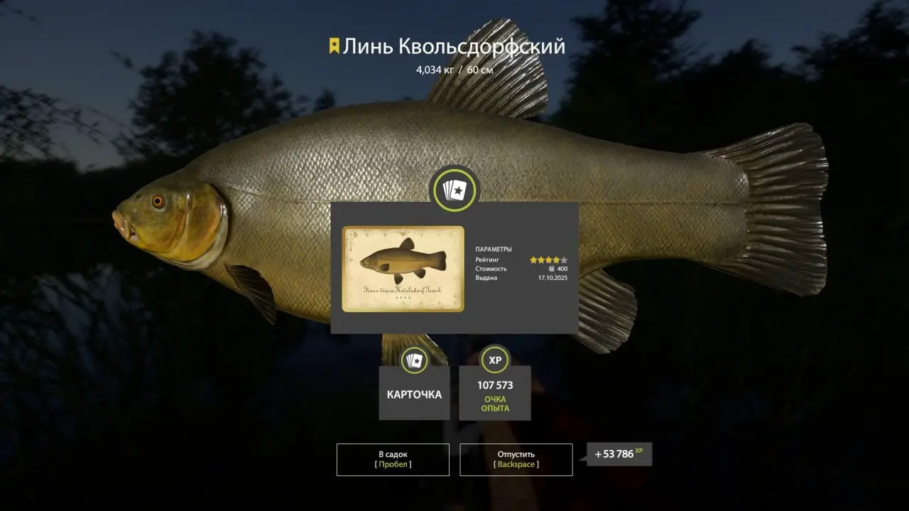 Trophy Copper lake