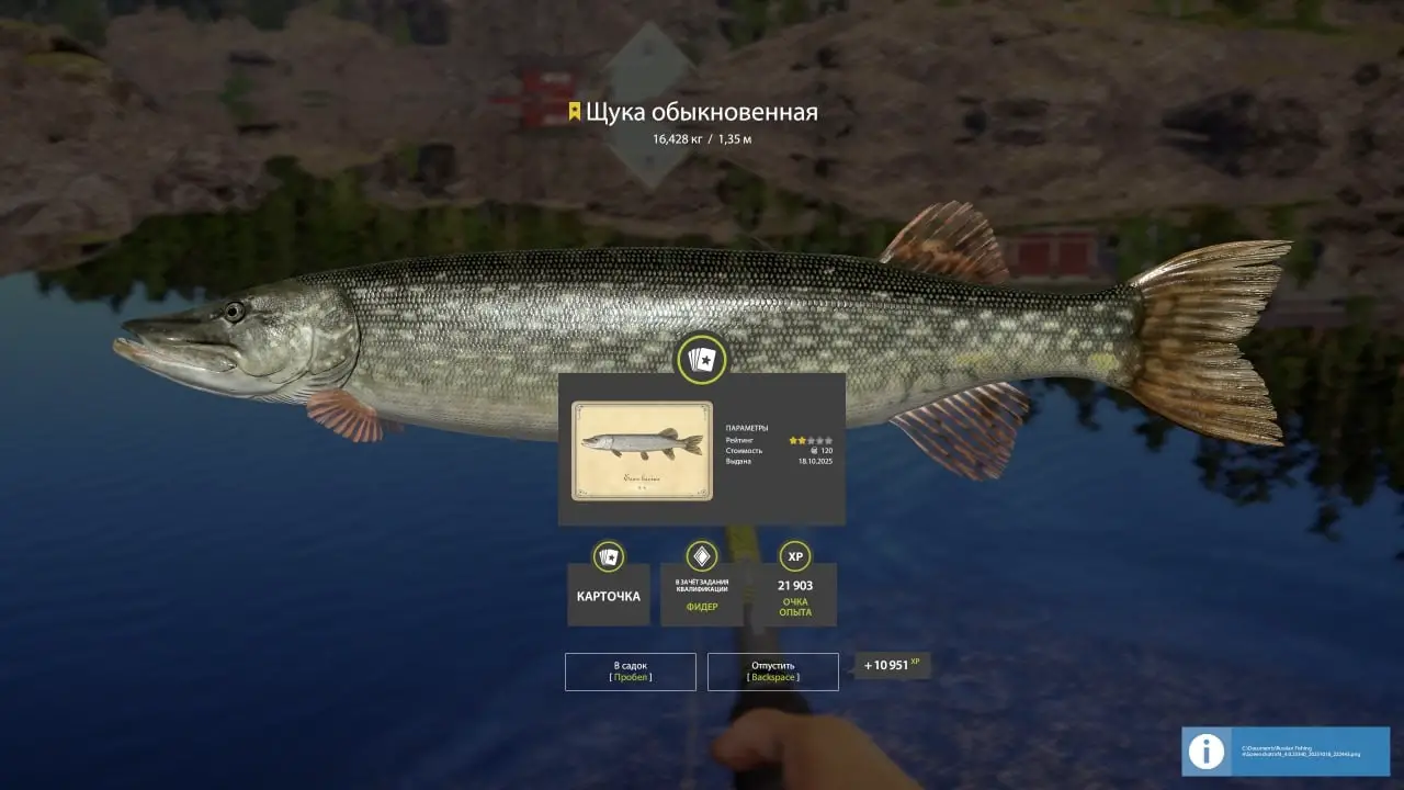 Trophy Ladoga Lake