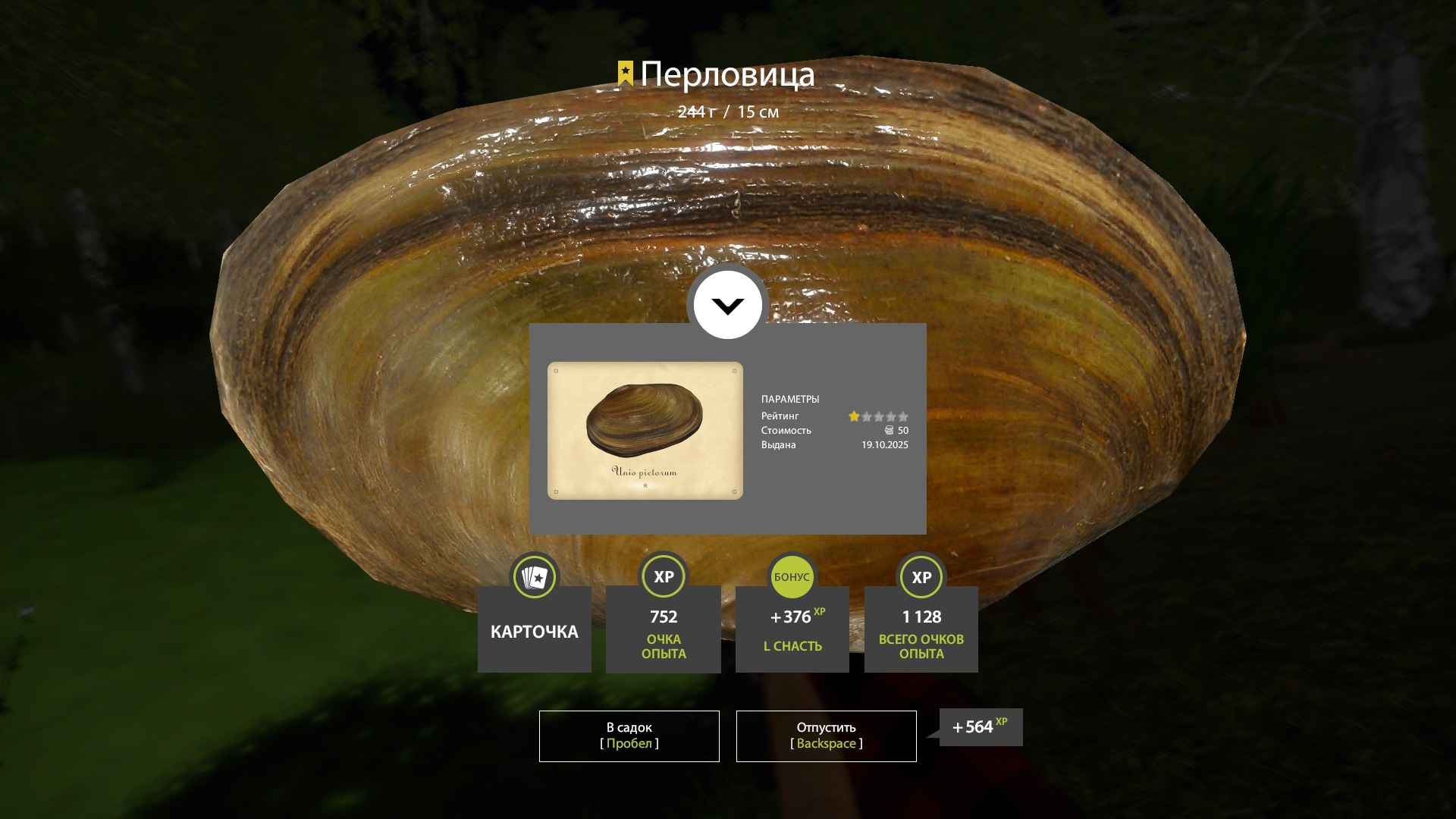 Trophy Seversky Donets River