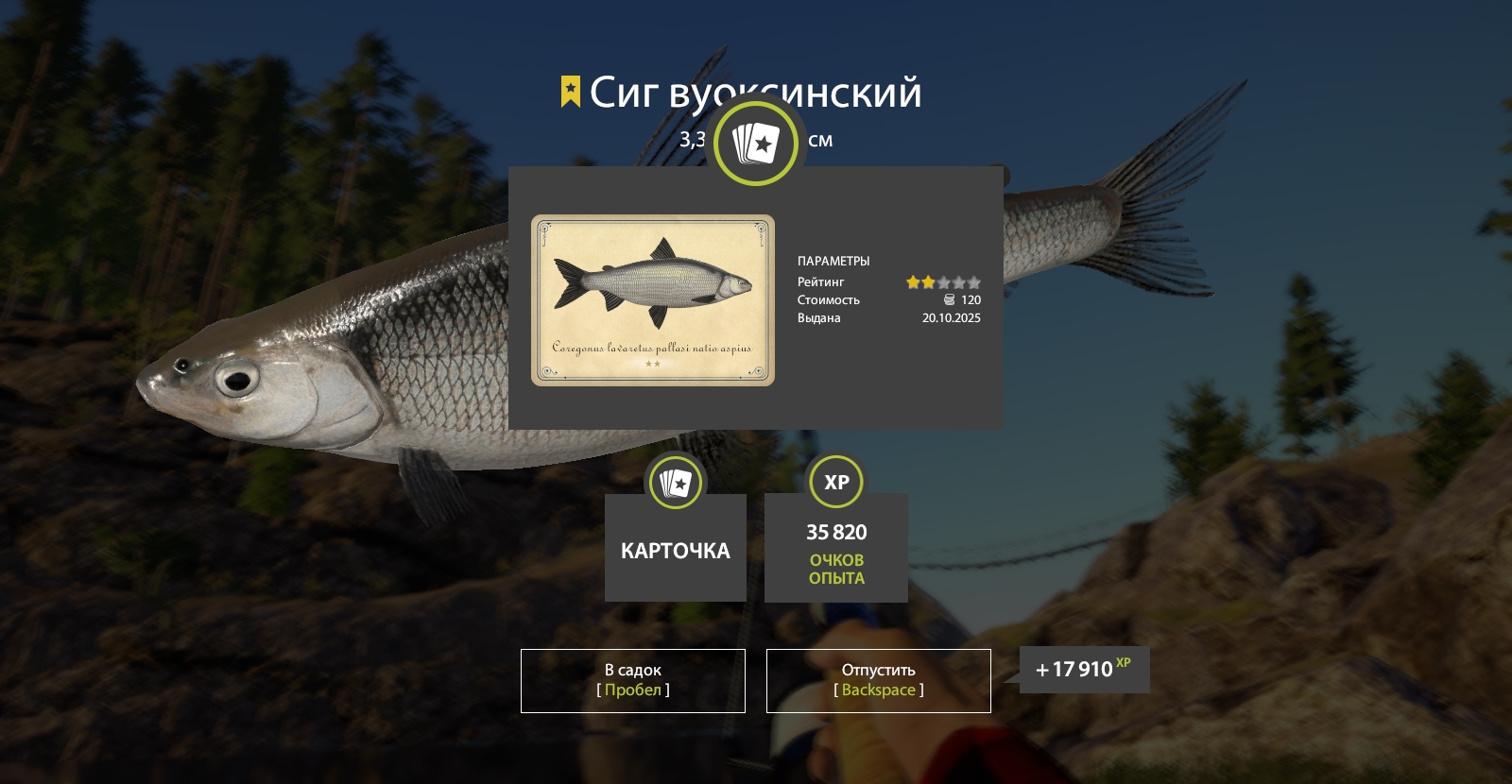Trophy Ladoga Lake